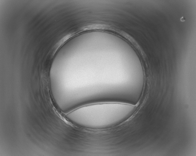 X0000080741337200612150922