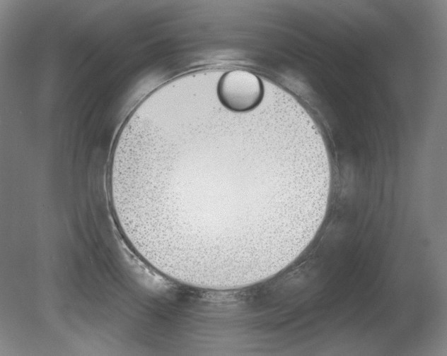 X0000080741338200612150922