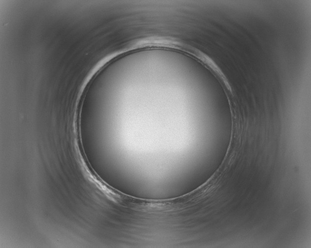 X0000080741339200612150922