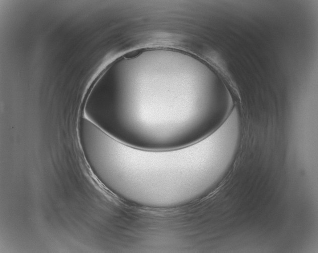 X0000080741340200612150922
