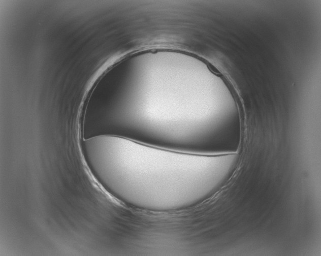 X0000080741341200612150922
