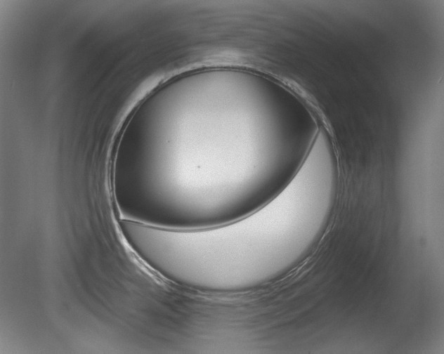 X0000080741342200612150922