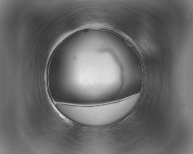 X0000080741343200612150922