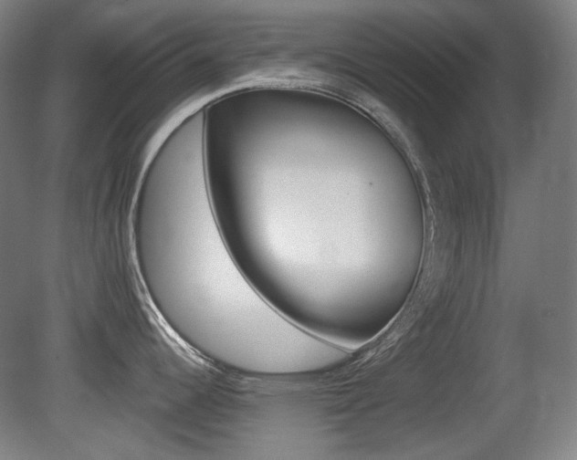 X0000080741344200612150922