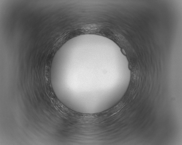X0000080741346200612150921