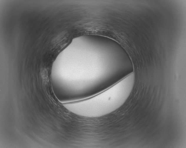 X0000080741347200612150921