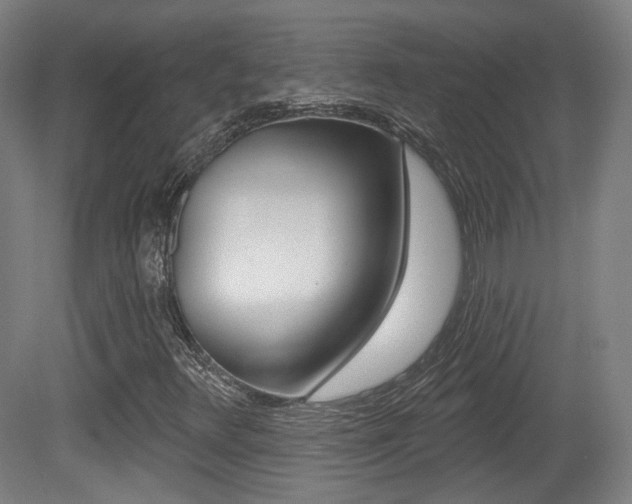 X0000080741348200612150921