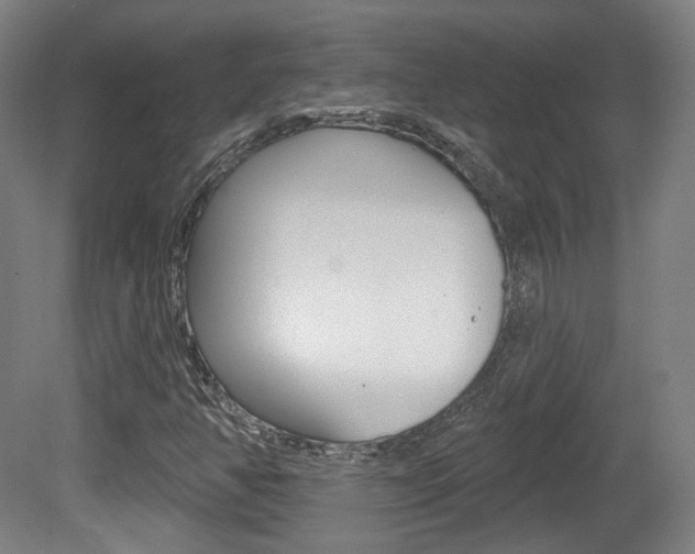 X0000080741350200612150921