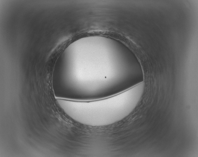 X0000080741351200612150921