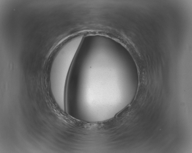 X0000080741352200612150921