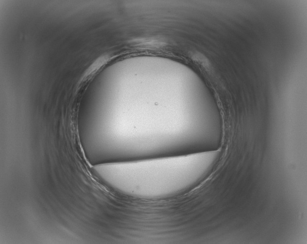 X0000080741354200612150921