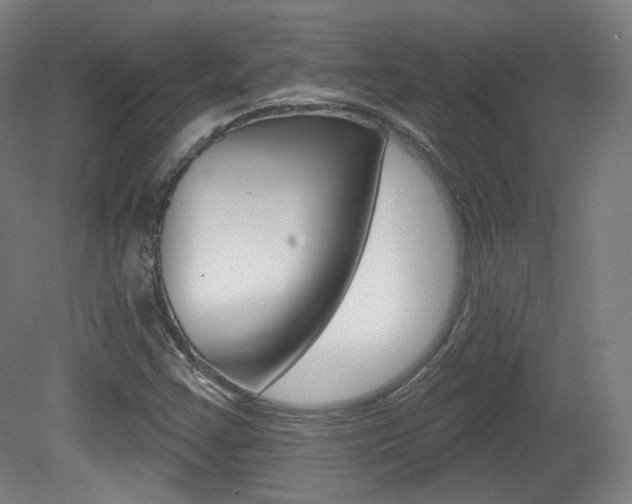 X0000080741355200612150921