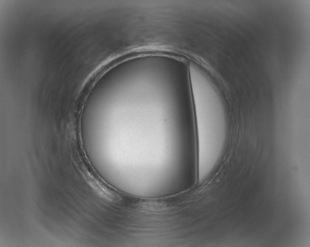 X0000080741356200612150921