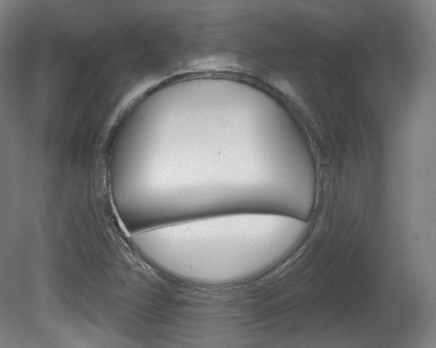 X0000080741358200612150921