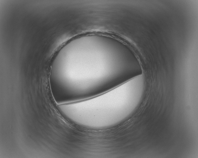X0000080741359200612150921
