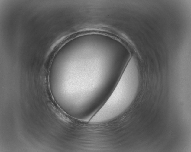 X0000080741360200612150921
