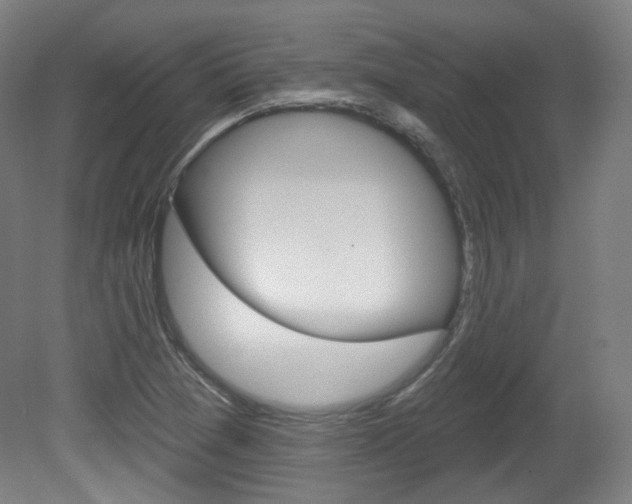 X0000080741361200612150921