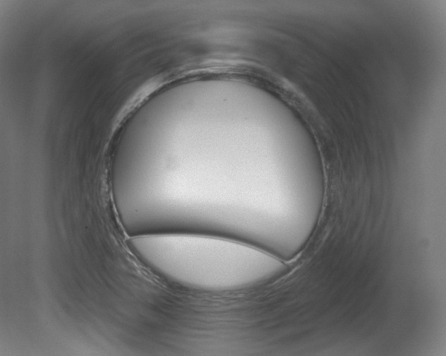 X0000080741362200612150921