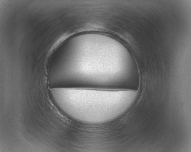 X0000080741363200612150921