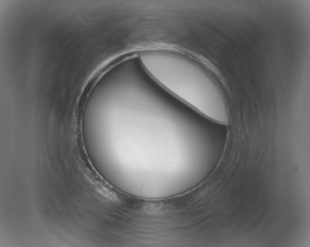 X0000080741364200612150921