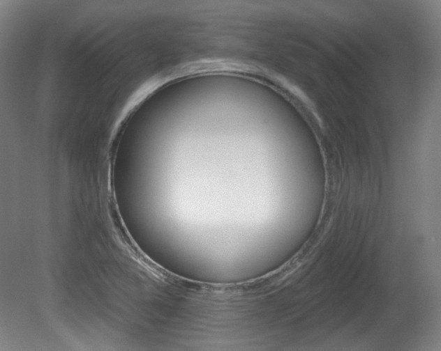 X0000080741365200612150921