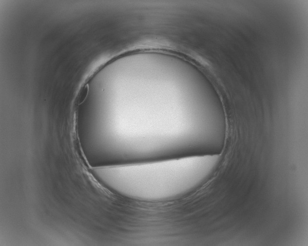 X0000080741366200612150921