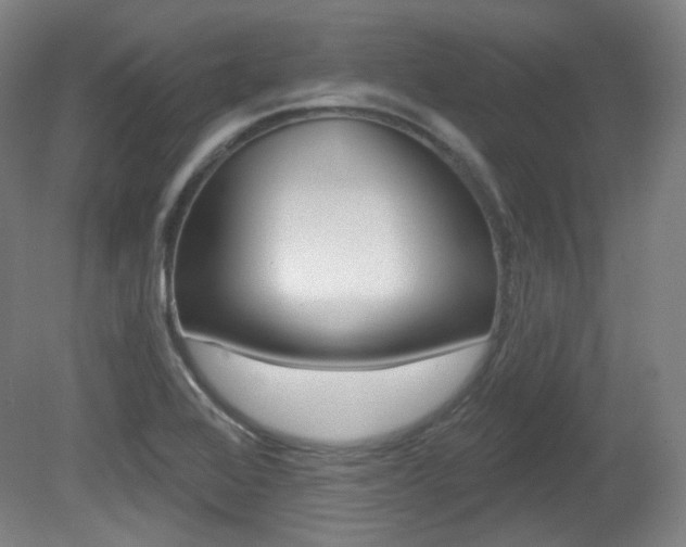 X0000080741368200612150921