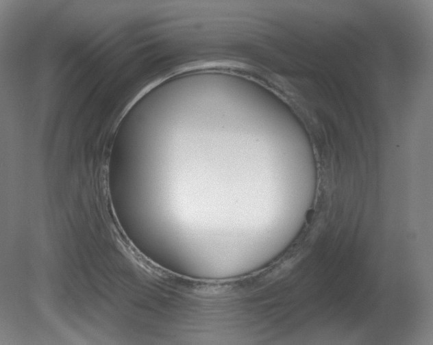 X0000080741369200612150921