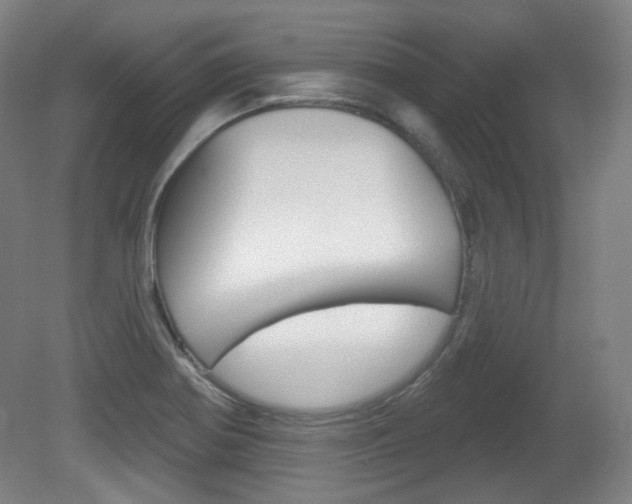 X0000080741370200612150921