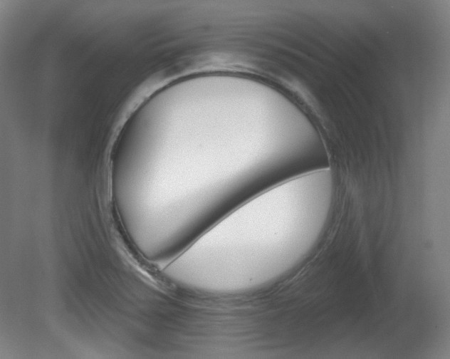 X0000080741371200612150921
