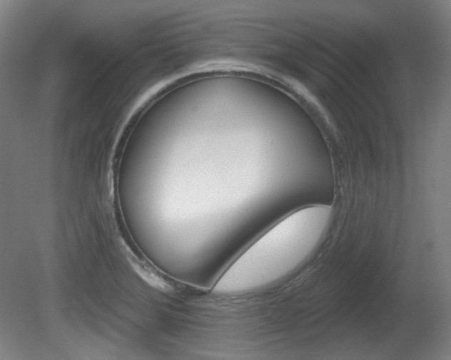 X0000080741372200612150921