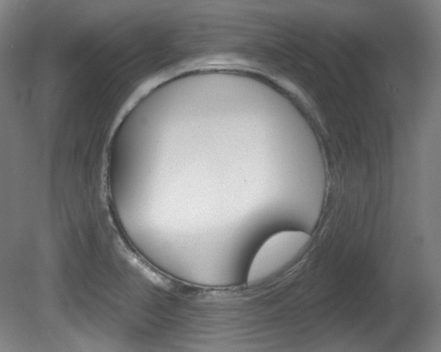 X0000080741374200612150921