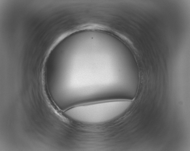 X0000080741375200612150921