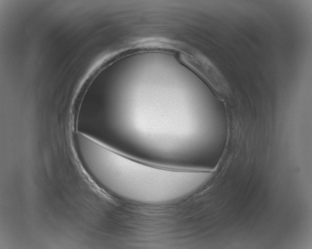 X0000080741376200612150921
