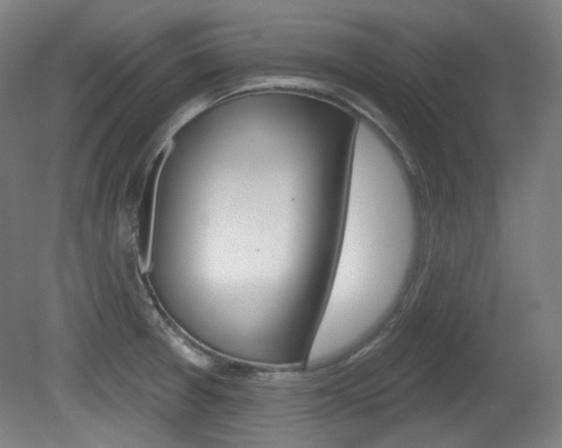 X0000080741377200612150921