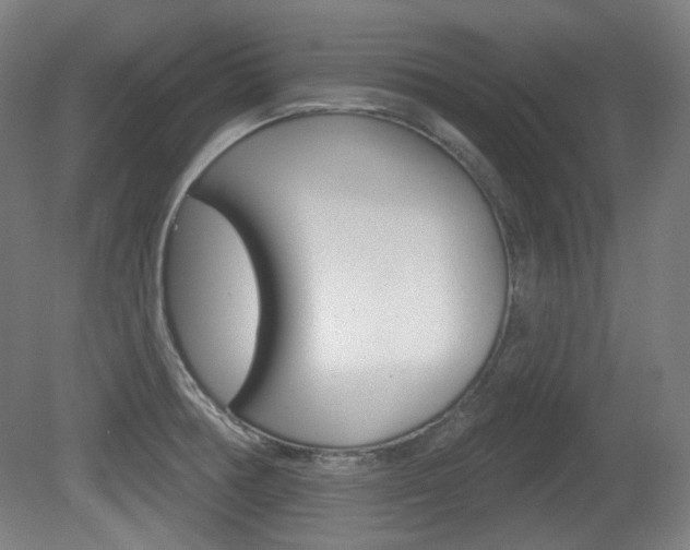 X0000080741378200612150921