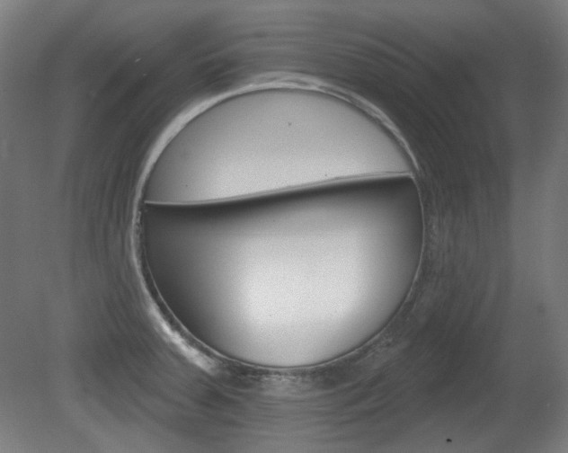 X0000080741379200612150921