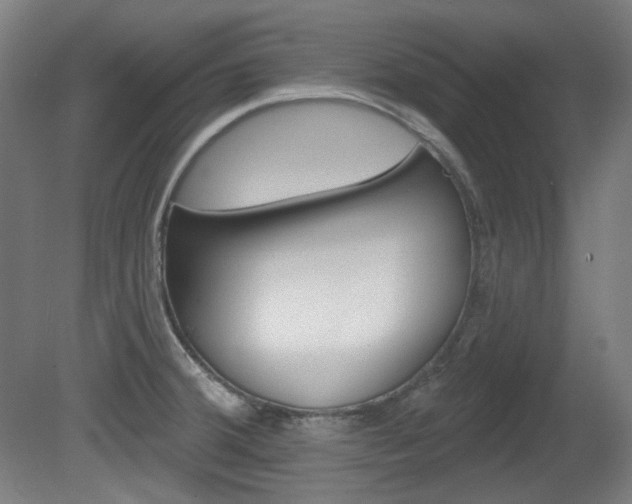 X0000080741380200612150921