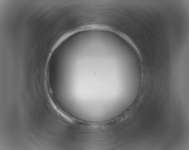 X0000080741381200612150921