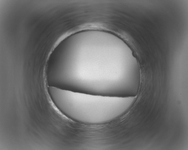 X0000080741382200612150921