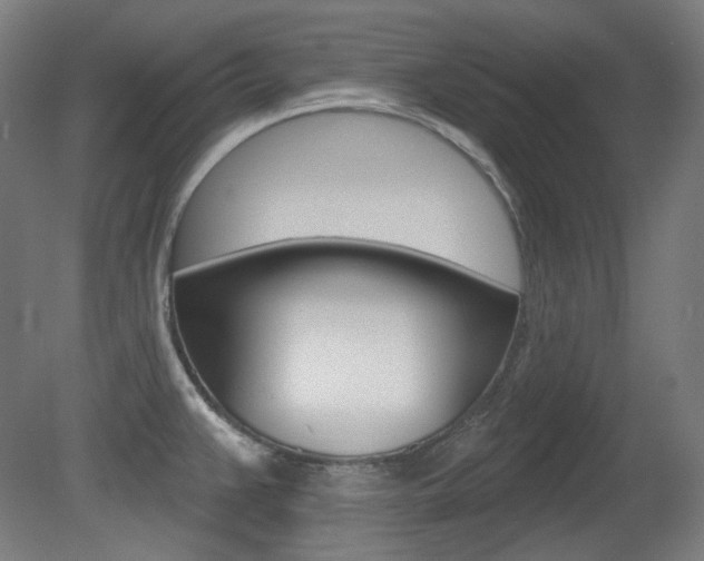 X0000080741383200612150921