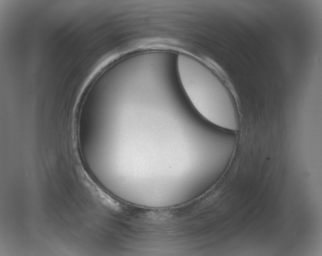 X0000080741384200612150921