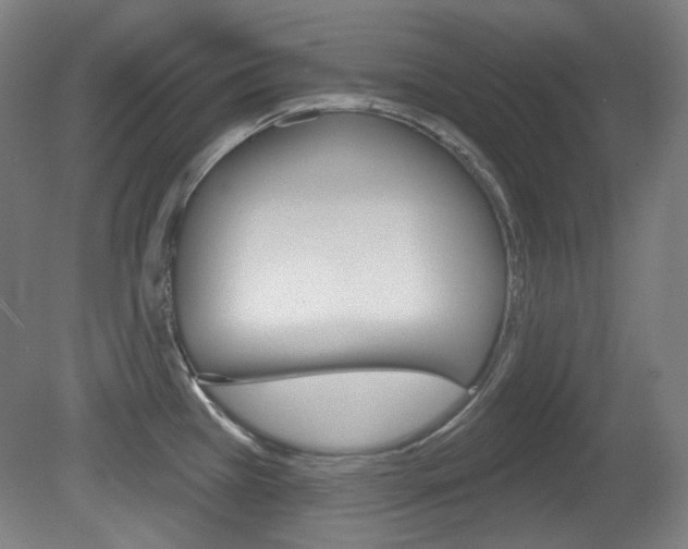 X0000080741385200612150921