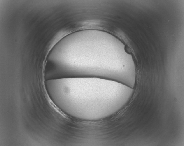 X0000080741386200612150921