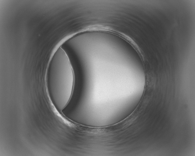 X0000080741387200612150921