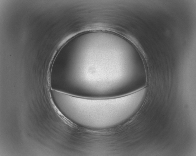 X0000080741388200612150921