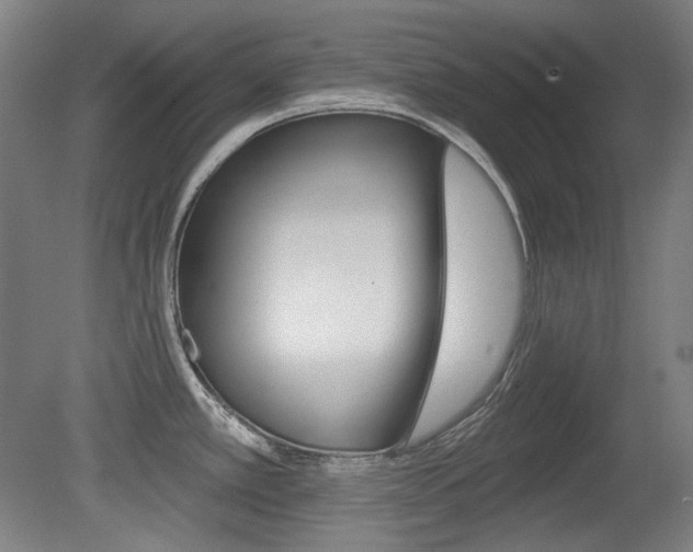 X0000080741389200612150921