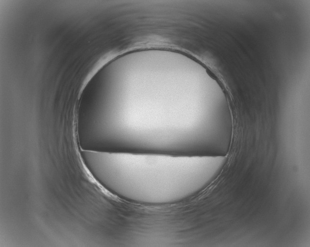 X0000080741390200612150921