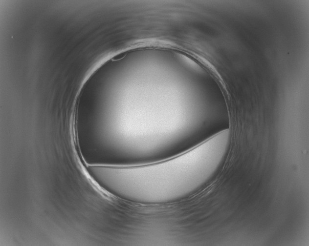X0000080741391200612150921