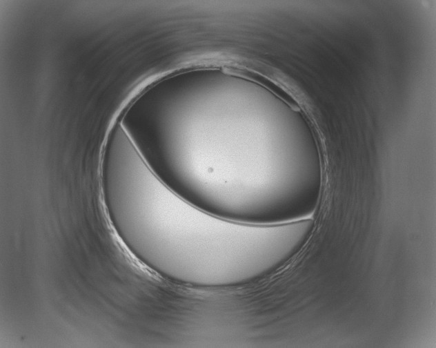 X0000080741392200612150921